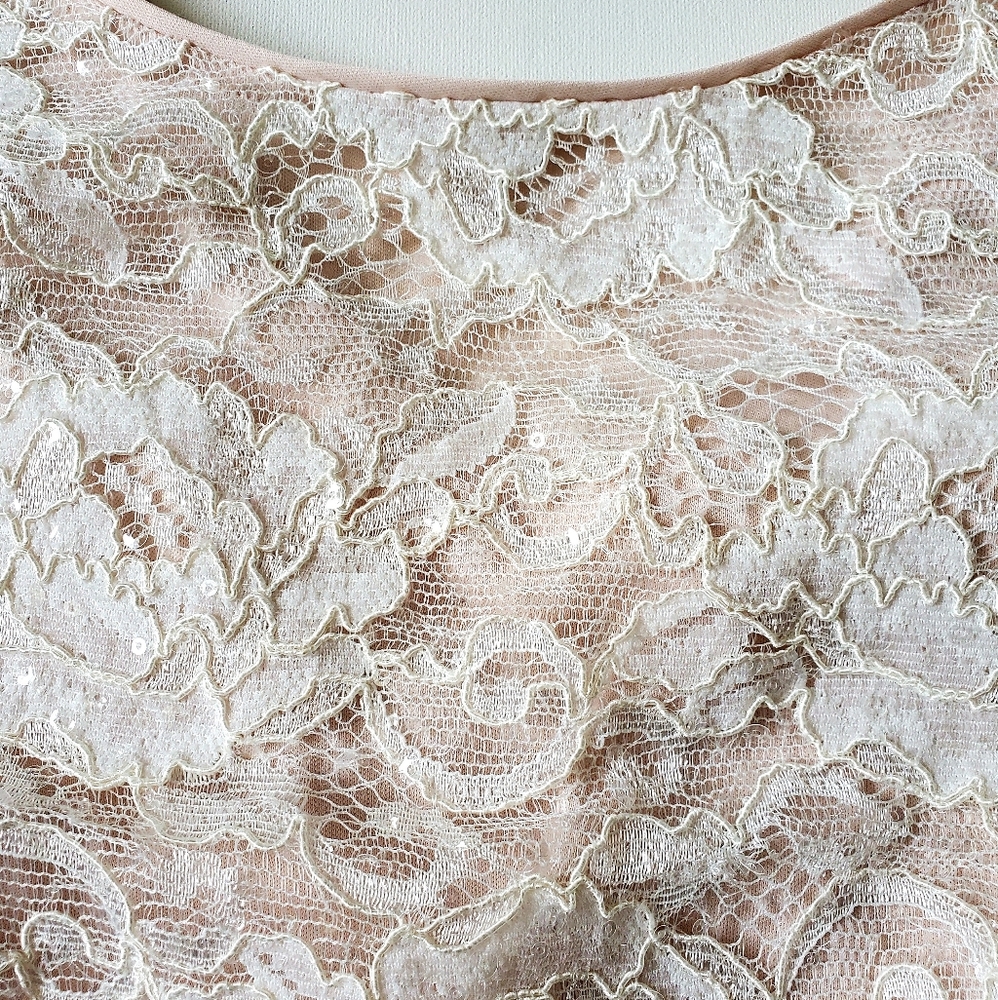 JACQUES VERT SPECIAL OCCASION WHITE LACE BLAUSE WITH BEIGE LINING ( SIZE 12 ) - Picture 4 of 10